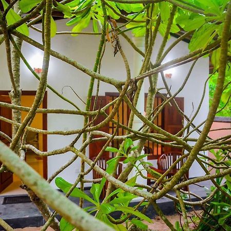 Shehani Beach Bungalow Tangalle Esterno foto