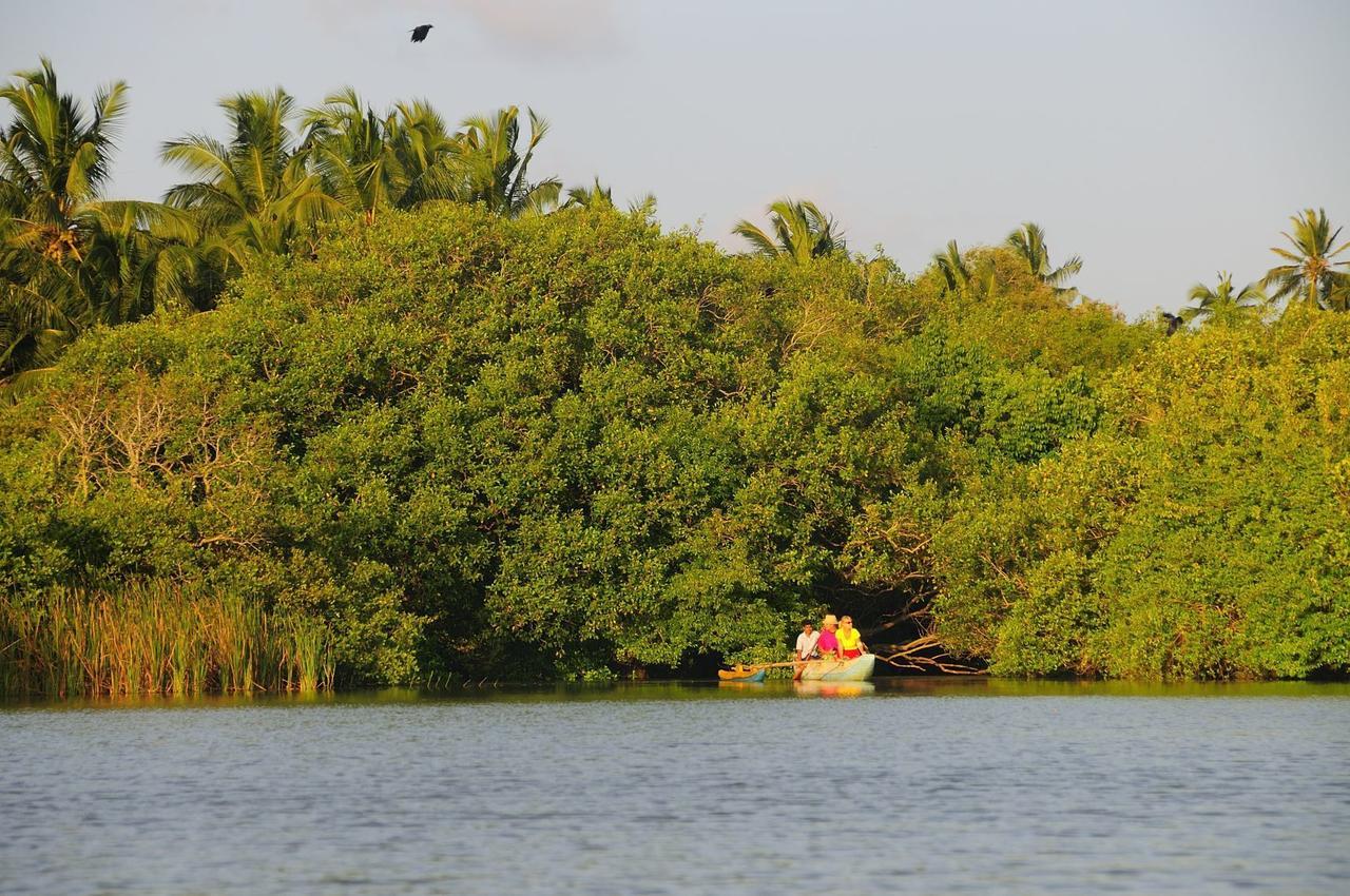 Shehani Beach Bungalow Tangalle Esterno foto